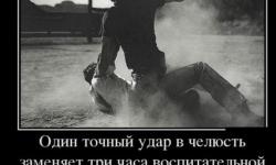 Один точный удар в челюсть