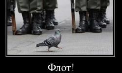 Флот! Перед нами стоит серьезная задача