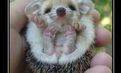 Вот я вырасту и отомщу