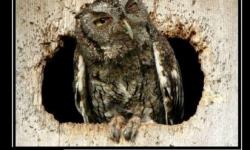 Интернет отключили