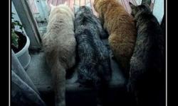 Ничто не предвещало плохого конца